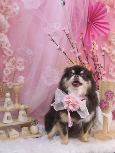 20250312フェルくん